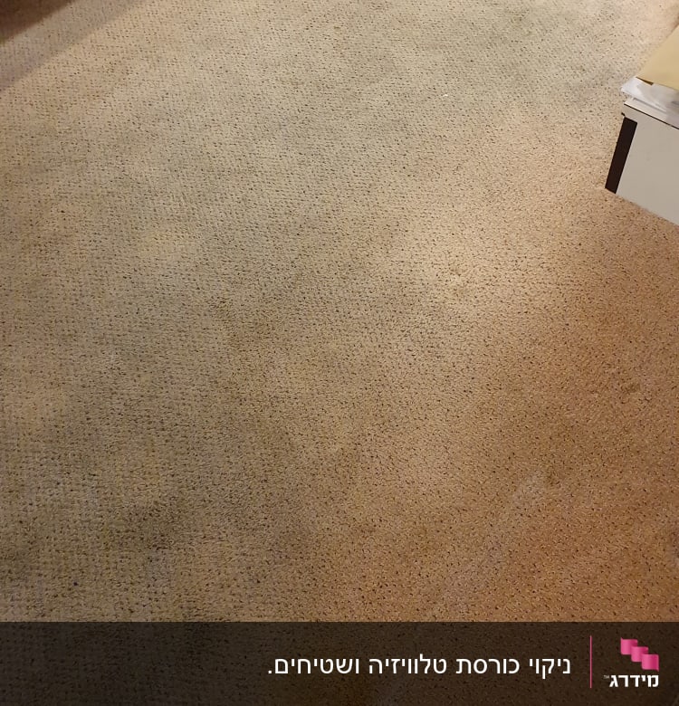 שטיח עם כתמים בחדר שינה